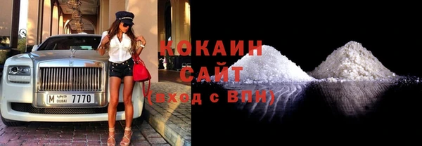 МДПВ Михайлов